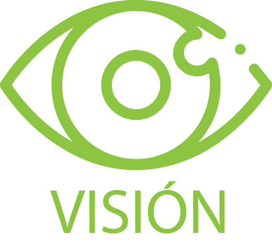 servicios-de-limpieza-grupo-myrethi-icon-vision